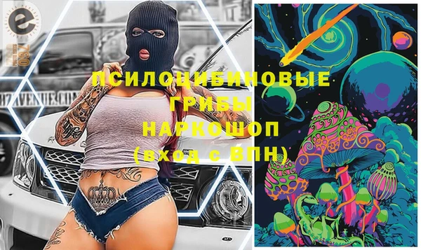 спайс Богородицк