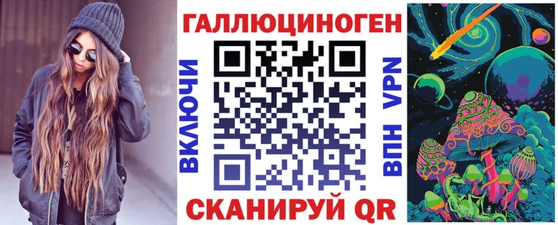 omg как войти  Буй  Галлюциногенные грибы Psilocybe 